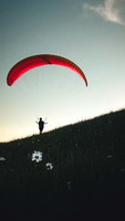 papillon-fotowettbewerb-2025-120
