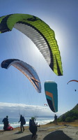 papillon-fotowettbewerb-2025-119
