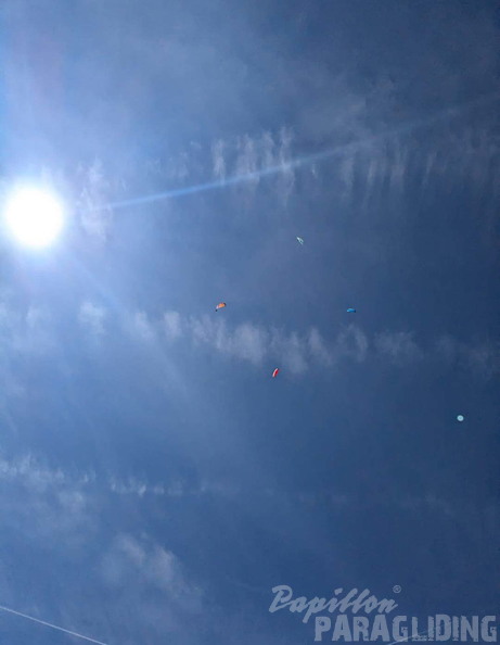 papillon-fotowettbewerb-2025-121