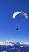 papillon-fotowettbewerb-2025-133