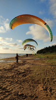 papillon-fotowettbewerb-2025-134