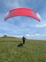 papillon-fotowettbewerb-2025-138