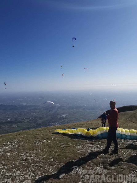 papillon-fotowettbewerb-2025-226