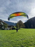 papillon-fotowettbewerb-2025-202
