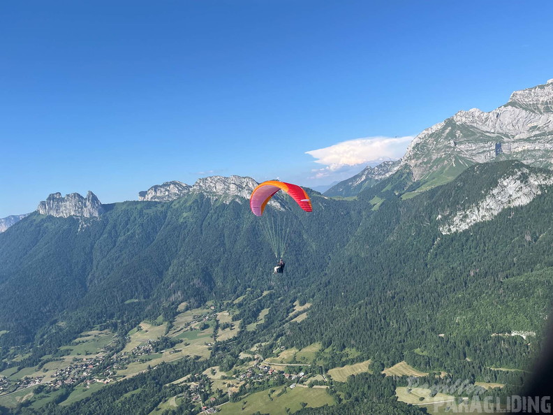 papillon-fotowettbewerb-2025-208