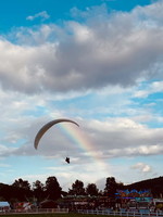 papillon-fotowettbewerb-2025-210