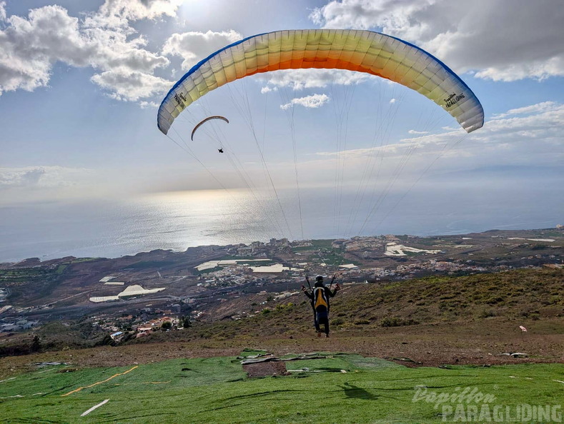 papillon-fotowettbewerb-2025-214