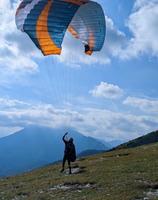 papillon-fotowettbewerb-2025-218