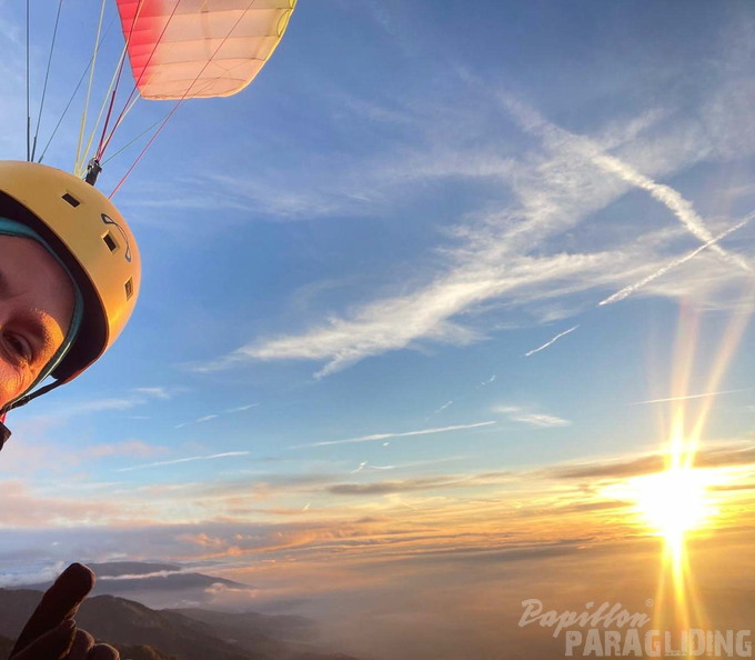 papillon-fotowettbewerb-2025-219