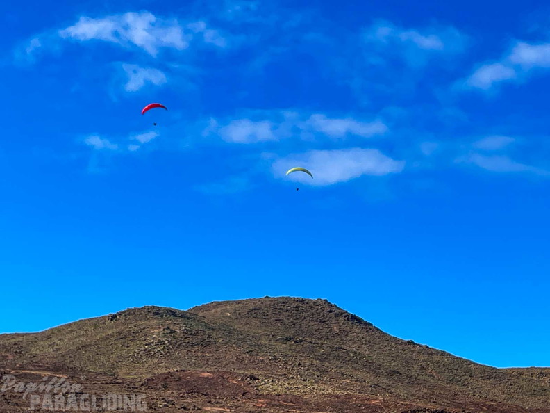 fla3.26-papillon-paragliding-lanzarote-123