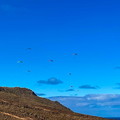 fla4.26-paragliding-lanzarote-116