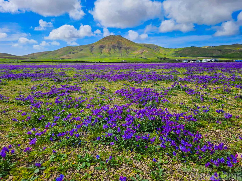 fla6.26-paragliding-lanzarote-111