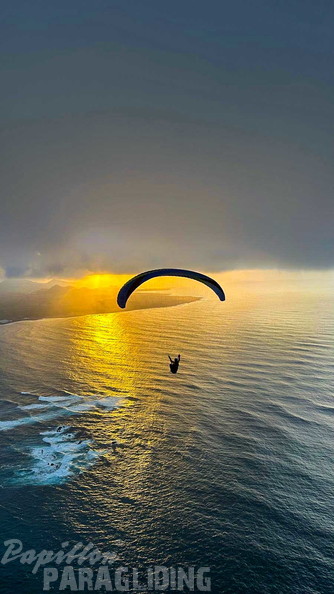 fla7.26-papillon-paragliding-100