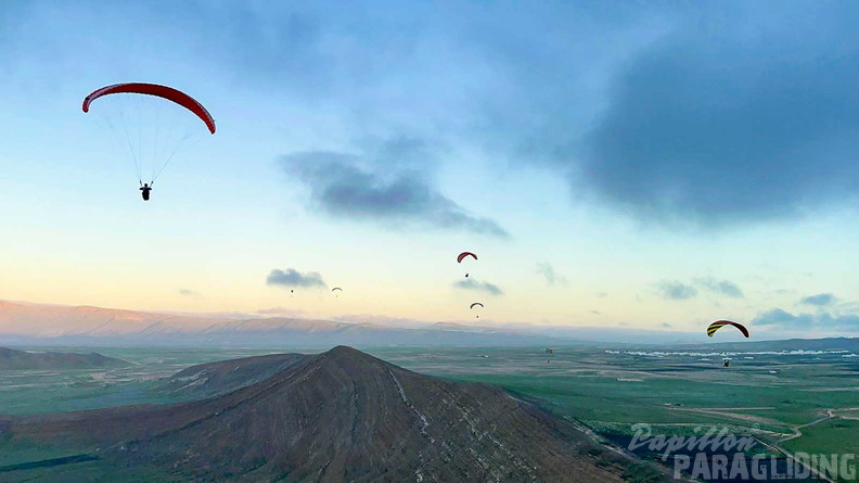 fla7.26-papillon-paragliding-108