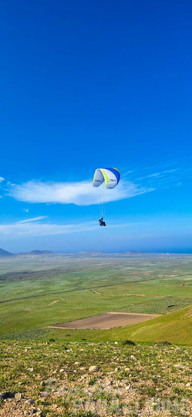 fla8.26-paragliding-lanzarote-104