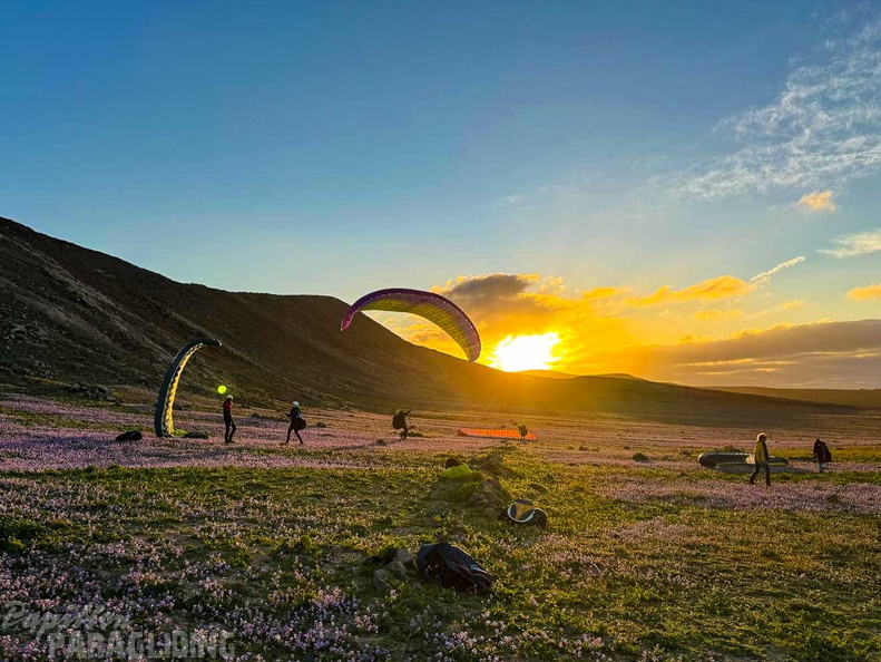 fla8.26-paragliding-lanzarote-111