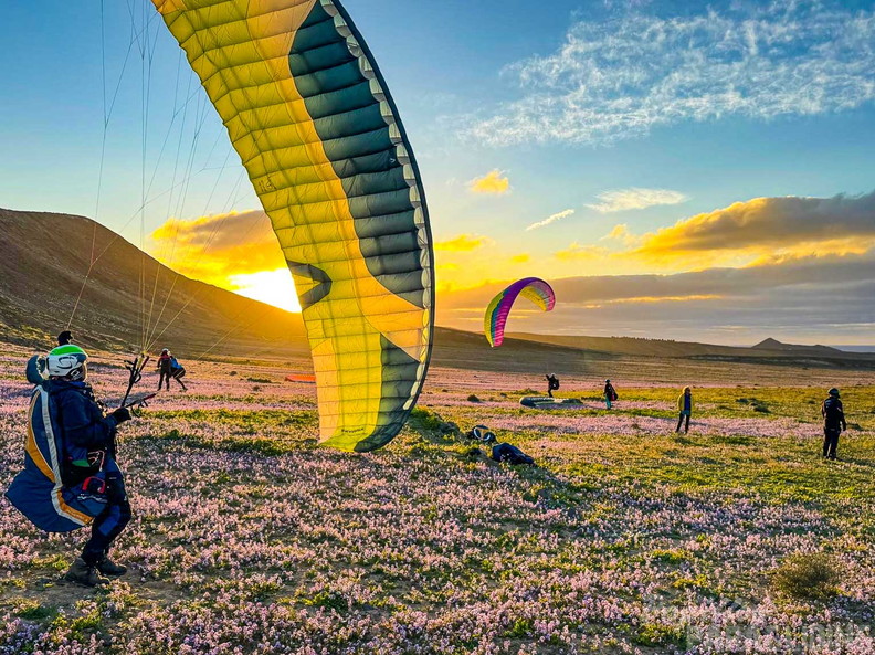 fla8.26-paragliding-lanzarote-112