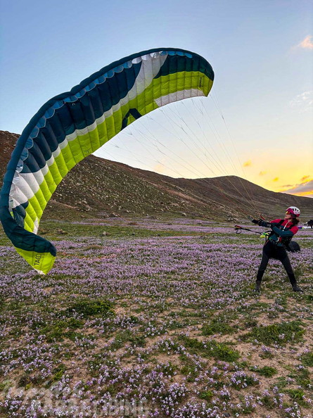 fla8.26-paragliding-lanzarote-114