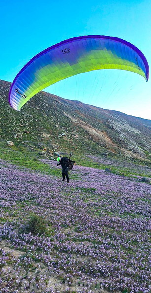fla8.26-paragliding-lanzarote-116