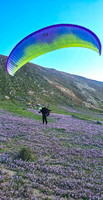 fla8.26-paragliding-lanzarote-116