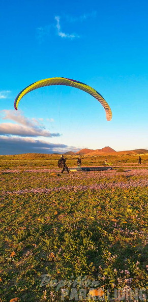fla8.26-paragliding-lanzarote-117