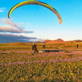 fla8.26-paragliding-lanzarote-117