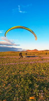fla8.26-paragliding-lanzarote-117