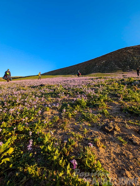 fla8.26-paragliding-lanzarote-118