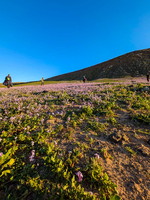 fla8.26-paragliding-lanzarote-118