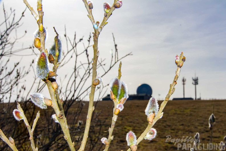 abtsrodaer-kuppe-papillon-paragliding-26-03-07-100