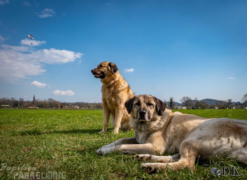 fbf12.26-bassano-fruehjahrsfliegen-dirk-kunesch-167