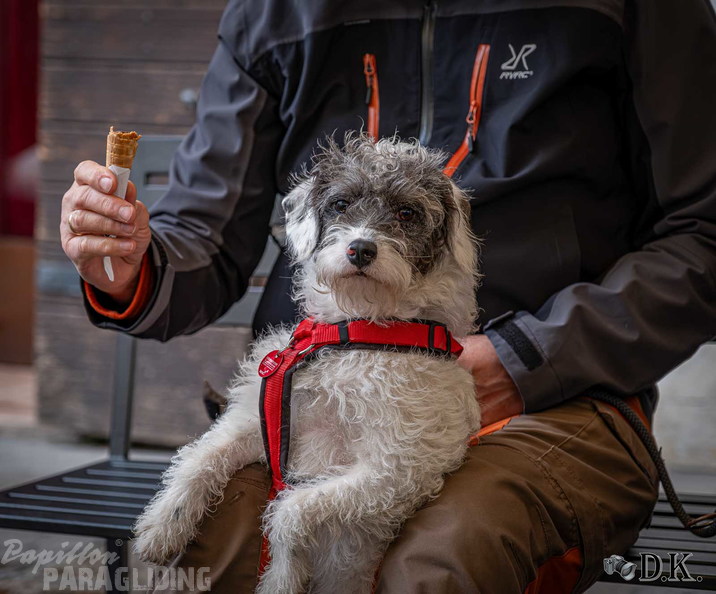 fbf12.26-bassano-fruehjahrsfliegen-dirk-kunesch-106