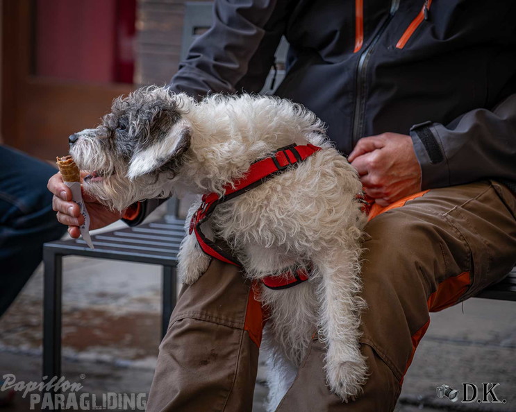 fbf12.26-bassano-fruehjahrsfliegen-dirk-kunesch-107