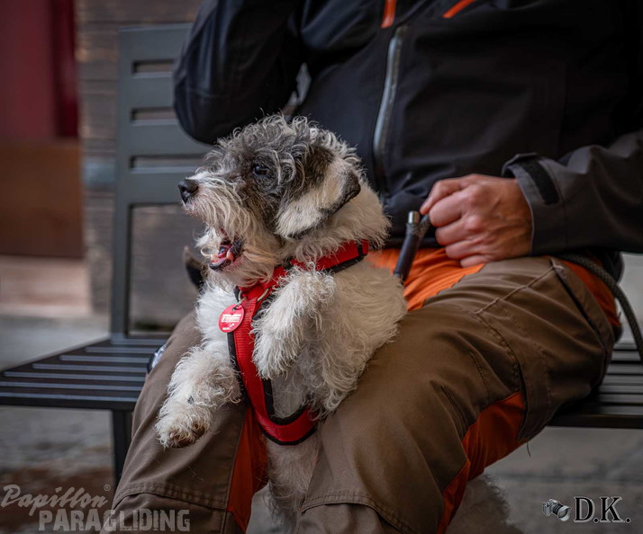 fbf12.26-bassano-fruehjahrsfliegen-dirk-kunesch-108