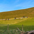 ek15.26-gleitschirm-kombikurs-sauerland-113