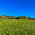 rsf19.26-extra-schnupperkurs-paragliding-105