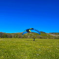 rsf19.26-extra-schnupperkurs-paragliding-110