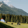 ak20.26-paragleiter-kombikurs-stubai-@catekkelboomwhite-119
