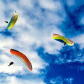 fwi39.26-wijk-paragliding-126