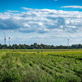 wks36.26-windenkurs-sevelen-(c)-dirk-kunesch-107