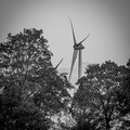 wks36.26-windenkurs-sevelen-(c)-dirk-kunesch-112