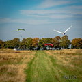 wks36.26-windenkurs-sevelen-(c)-dirk-kunesch-142