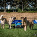 wks36.26-windenkurs-sevelen-(c)-dirk-kunesch-210