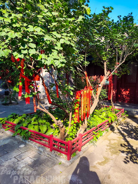 fcn39.26-china-paragliding-reise-papillon-152