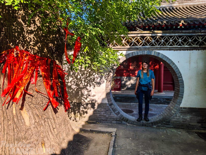 fcn39.26-china-paragliding-reise-papillon-154