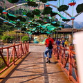 fcn39.26-china-paragliding-reise-papillon-203