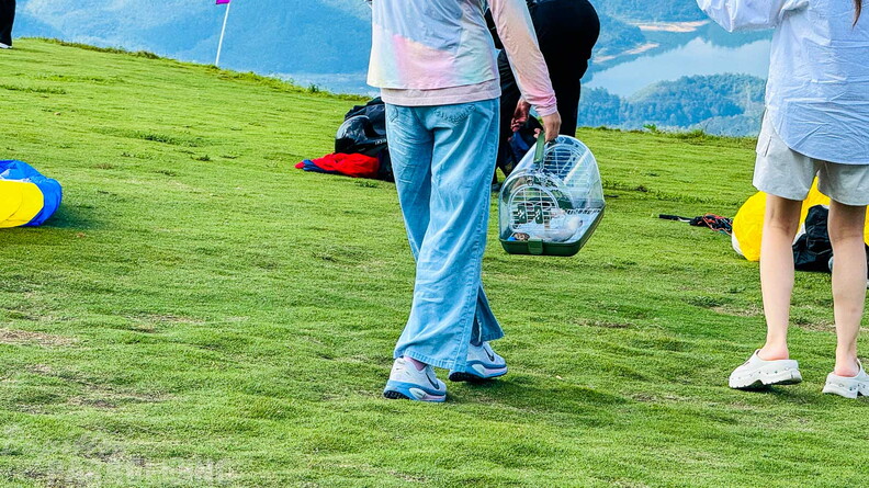 fcn39.26-china-paragliding-reise-papillon-261