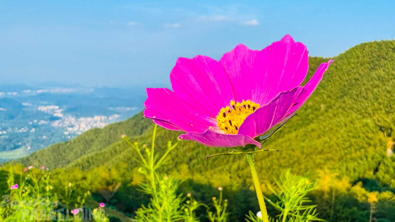 fcn39.26-china-paragliding-reise-papillon-263