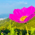 fcn39.26-china-paragliding-reise-papillon-263