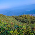 fcn39.26-china-paragliding-reise-papillon-274